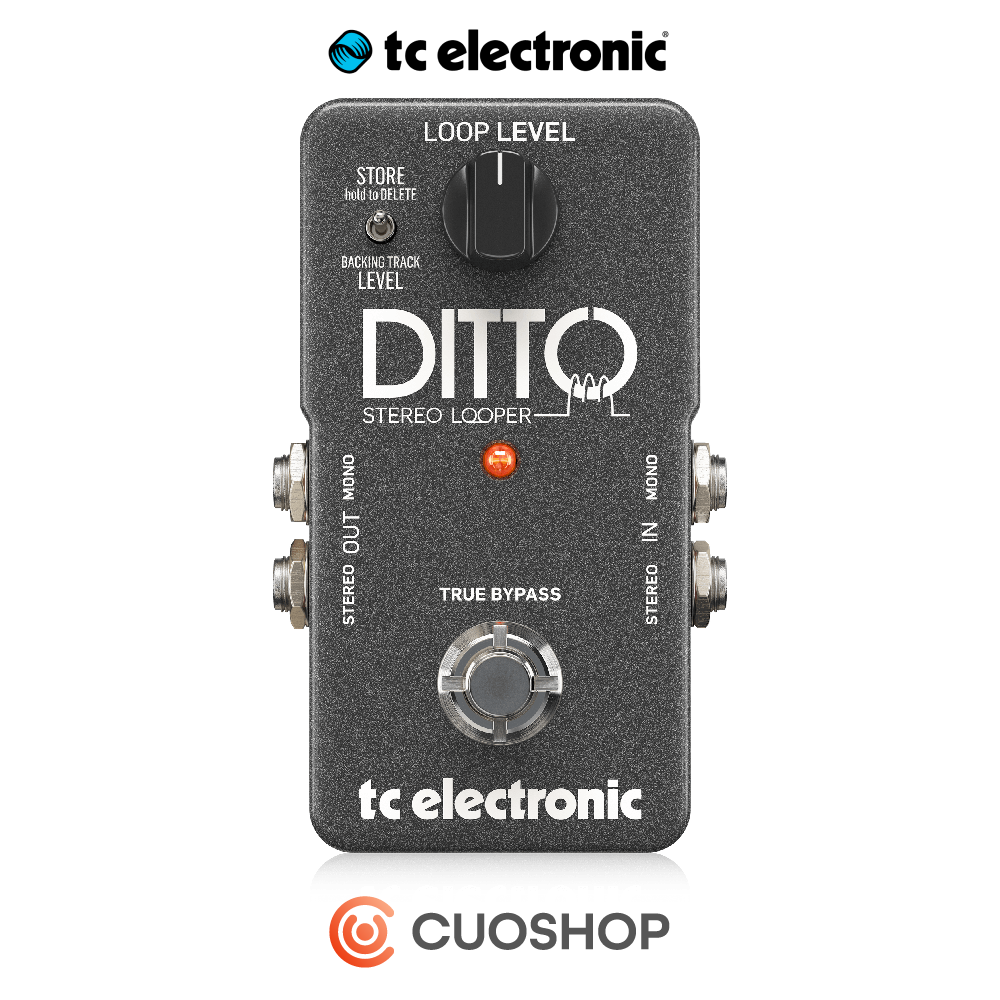 TC Electronic DITTO Stereo Looper 루퍼 이펙터