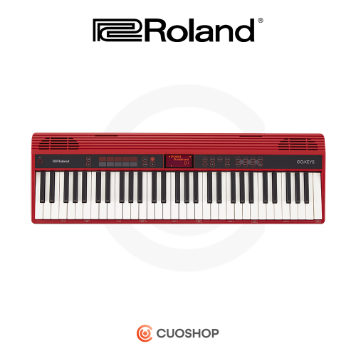 ROLAND 롤랜드 디지털피아노 GO-61K GOKEYS GO61K